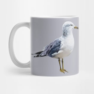 Ring Billed Gull painting (no background) Mug